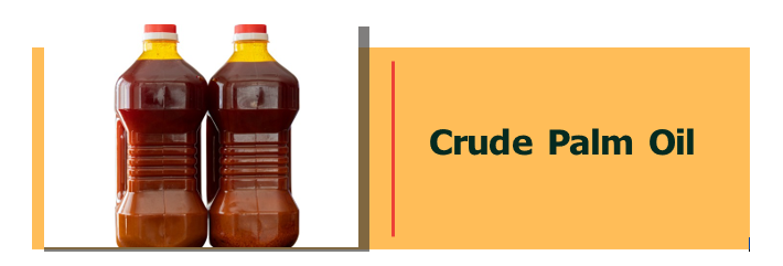 Screenshot 2026-03-30 215231